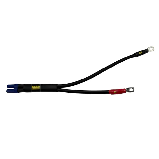 Booster-Anschlusskabel Batterie-Seite WorldSSP Feel Racing Ducati Panigale V2 955 (20-24) FR.510.221