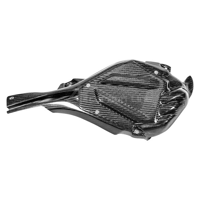 ECU Abdeckung inkl. Kühlkanal 200g AP Carbon Line Yamaha YZF-R1/M RN65 (20-26)
