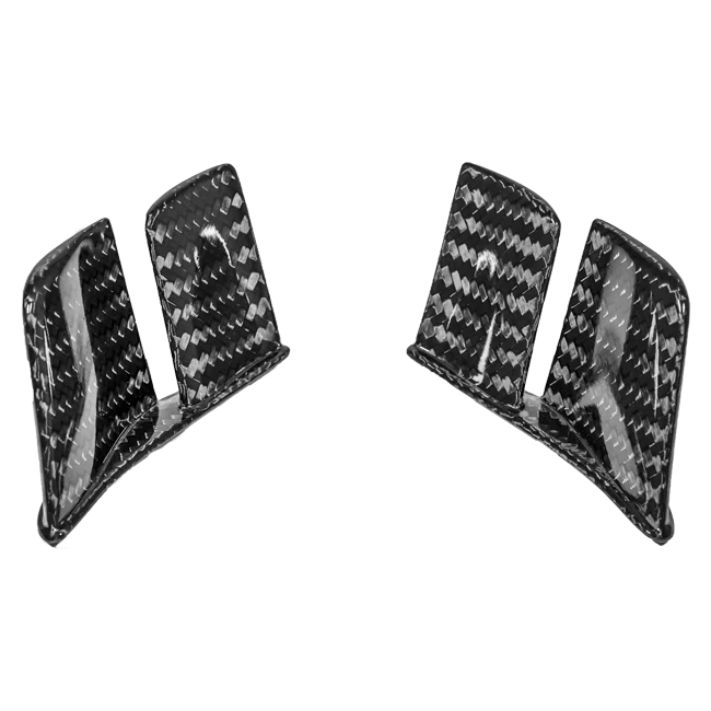 Heck MotoGP Winglets 400g AP Carbon Line Ducati Panigale V2 955 (20-24)