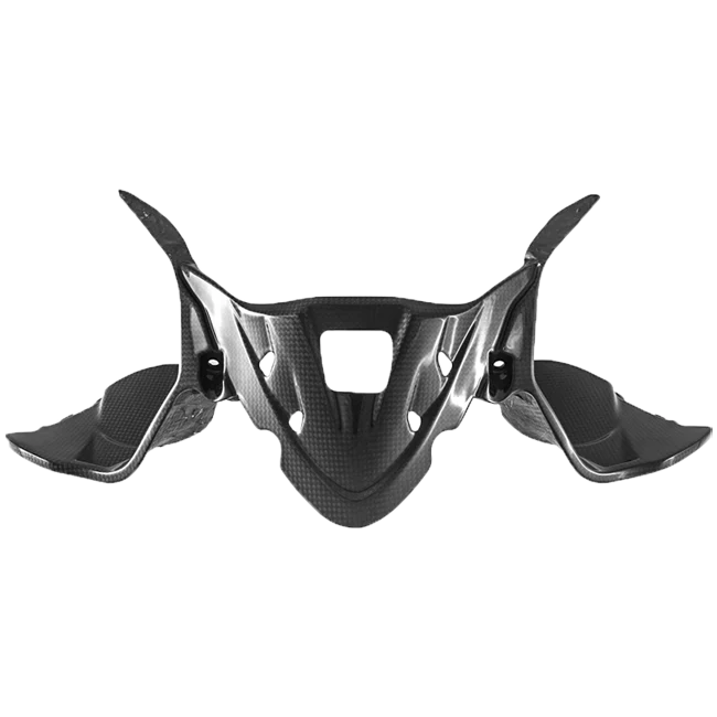 Instrumentenabdeckung Carbon Fullsix Ducati Panigale 959 (16-19)