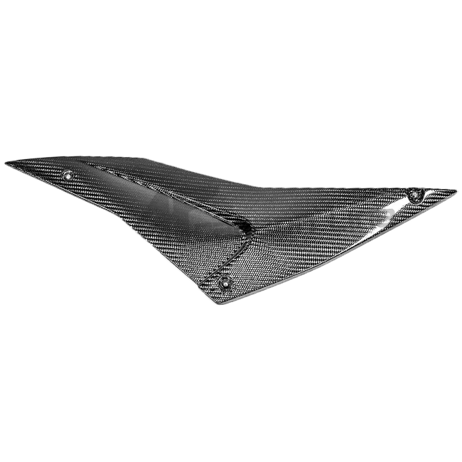 Tankseitenteil Unten Links 200g AP Carbon Line Aprilia RSV4/RR/1100 Factory (21-25)